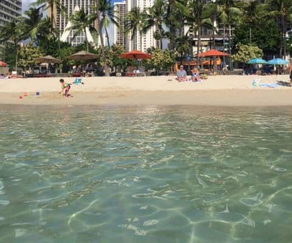 ワイキキ バンヤン バイ ダーミク ホノルル の宿泊予約 ホテルズドットコム