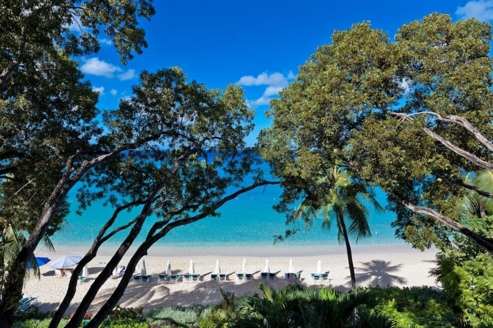 コンドミニアム コーラル コーブ 11 サンディ レーン ビーチの近く ペインズ ベイ の宿泊予約 ホテルズドットコム