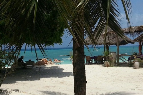 Book Ebony Ivory Bungalows In Nungwi Hotels Com