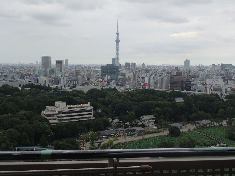 ペンション ムーミンパパ 妙高 の宿泊予約 ホテルズドットコム