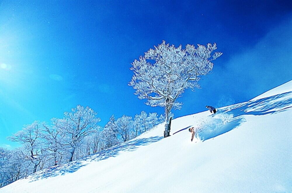 コンドミニアム苗場ウエスト 湯沢 の宿泊予約 ホテルズドットコム