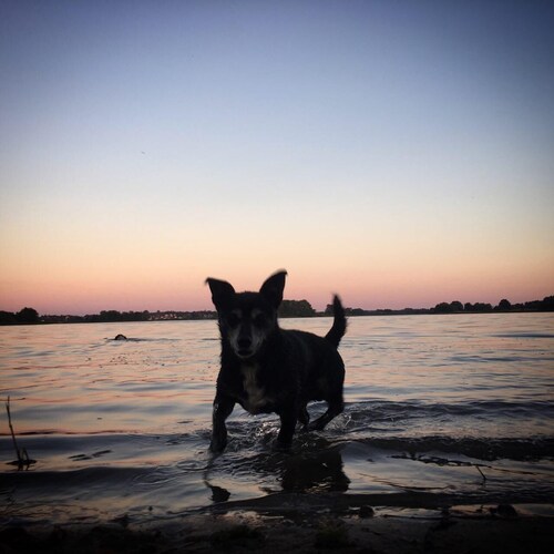 ヴォルデック のホテル 宿泊予約 格安ホテル予約 最安値検索 ホテルズドットコム 多数の宿泊施設のキャンセル無料