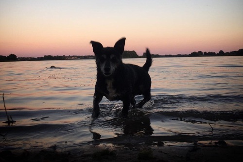 ヴォルデック のホテル 宿泊予約 格安ホテル予約 最安値検索 ホテルズドットコム 多数の宿泊施設のキャンセル無料 ヴォルデック のホテル 宿泊予約 格安ホテル予約 最安値検索 ホテルズドットコム 多数の宿泊施設のキャンセル無料