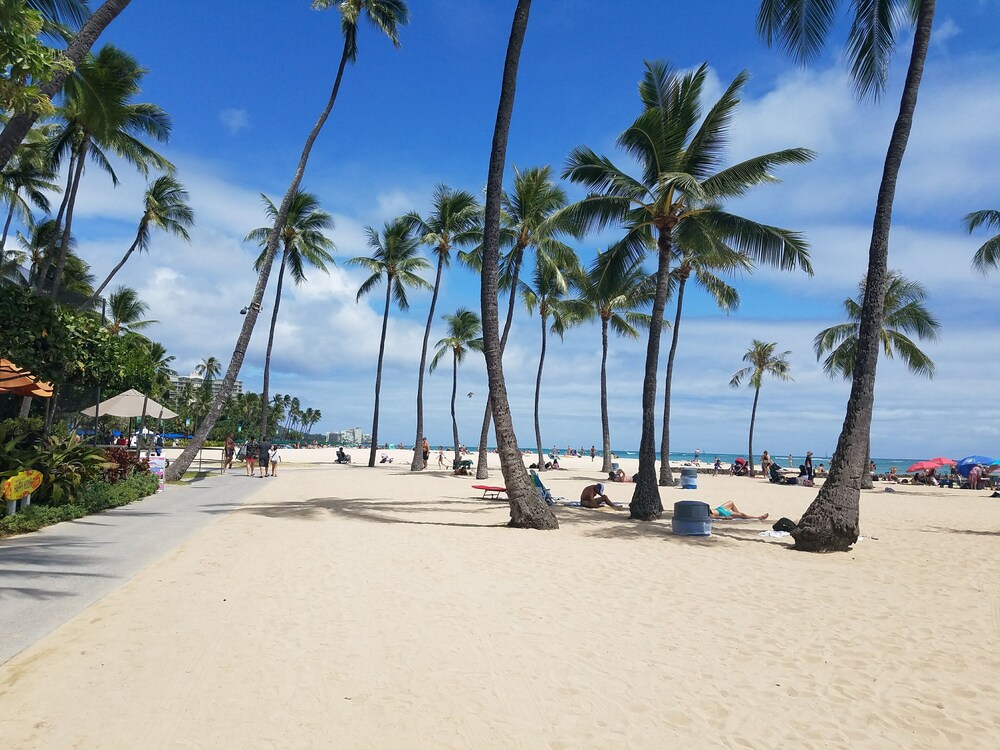 newly renovated adjoining studio rooms for up to seven guests in