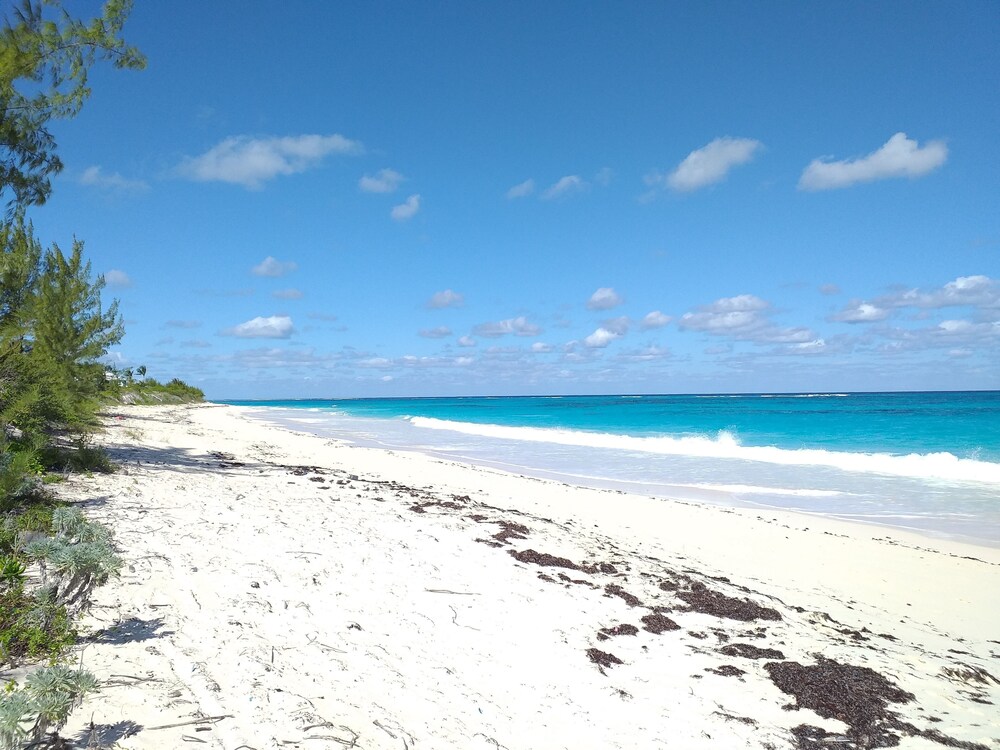 sea shanty - ocean view, walk to beach, prime central location.