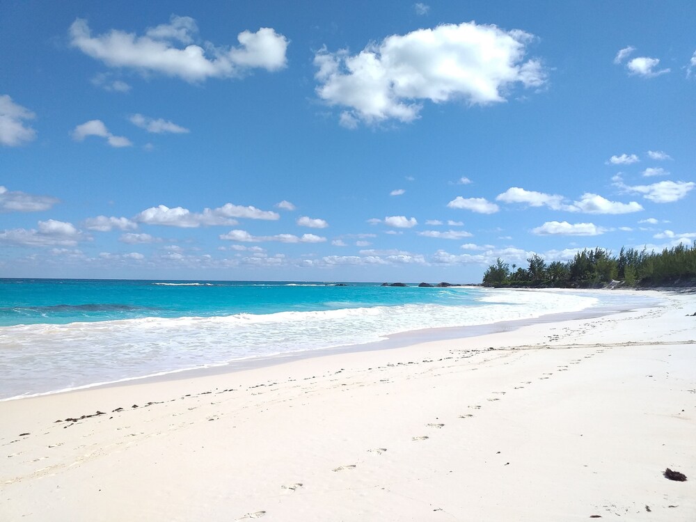 sea shanty - ocean view, walk to beach, prime central location.