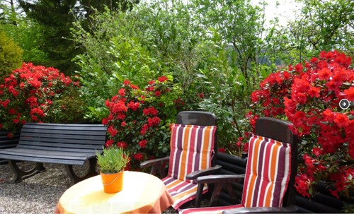 top hotels with a pool in goslar germany hotels com