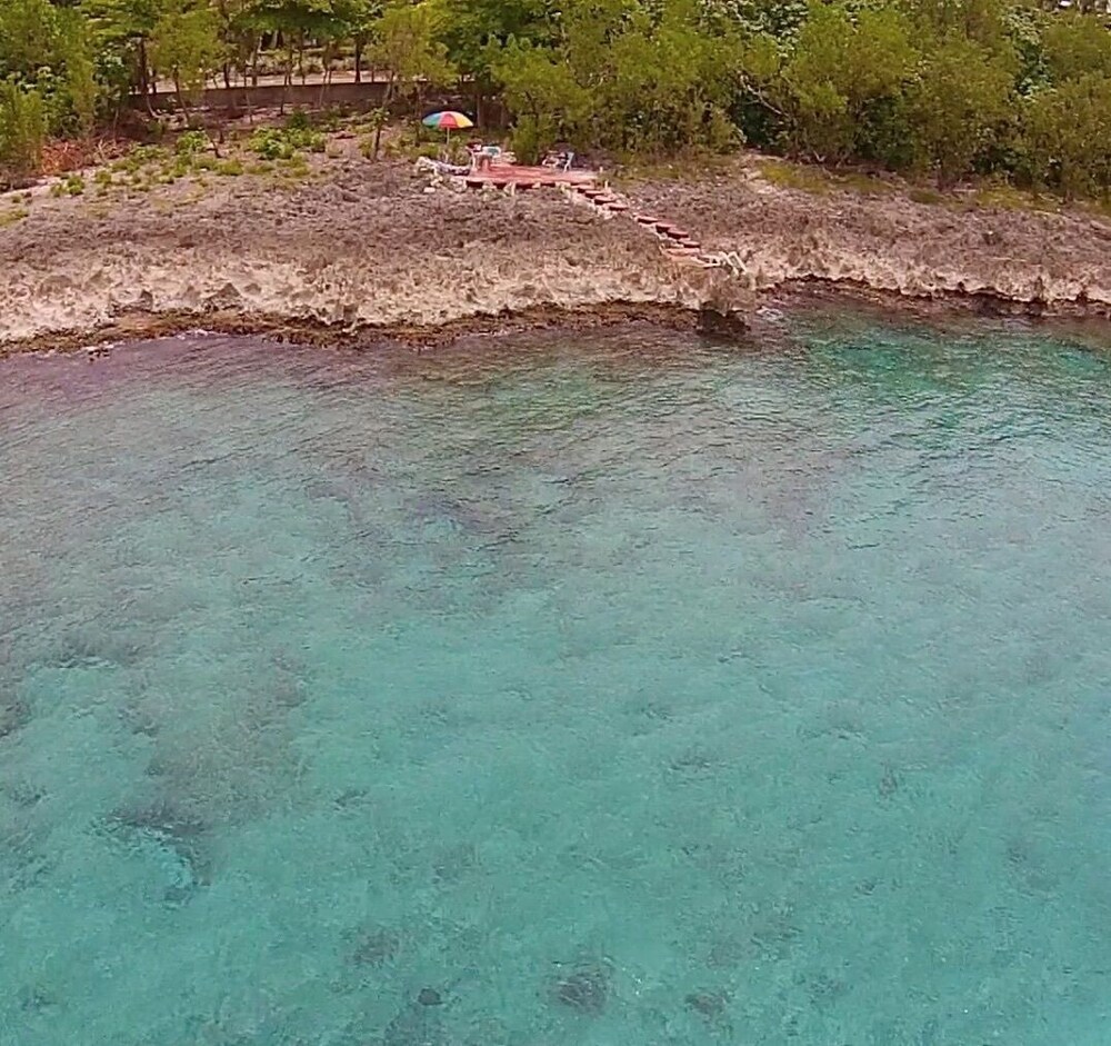 casa de las flores tropical lodge in front of the sea- gardens