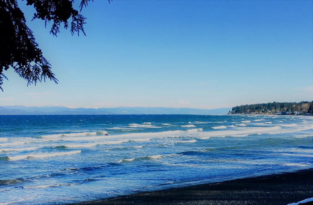 カサ グランデ イン カリカム ビーチ の宿泊予約 ホテルズドットコム