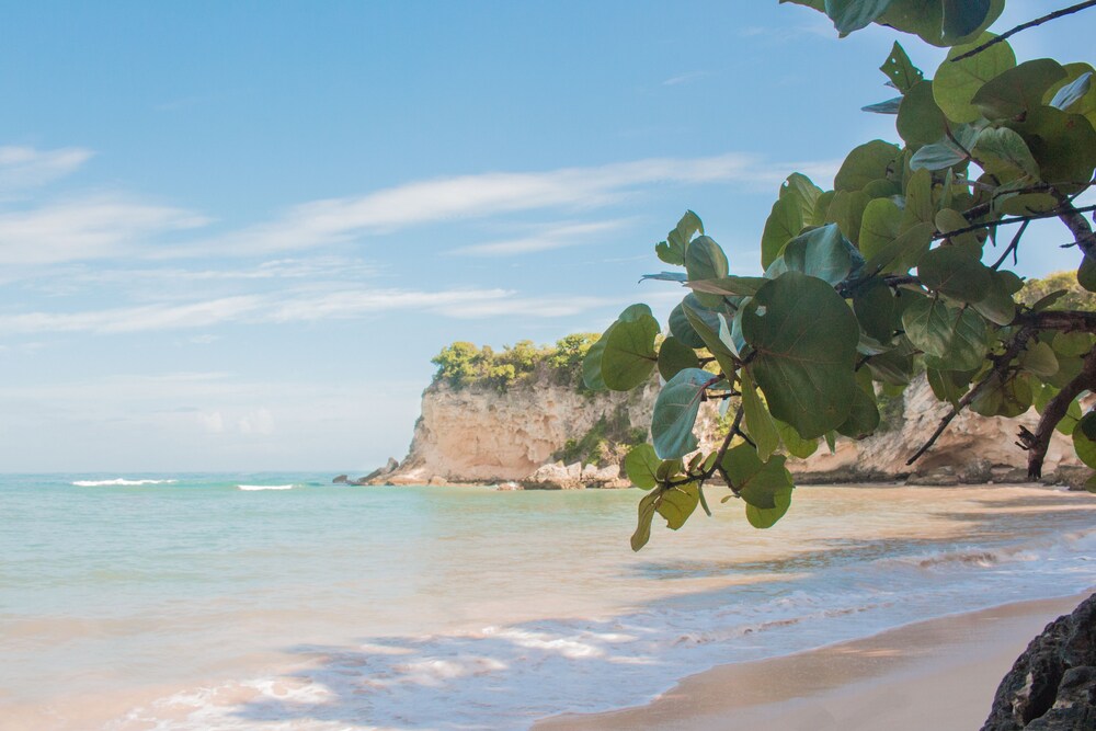 マカオ ビーチ ホステル プンタ カナ の宿泊予約 ホテルズドットコム