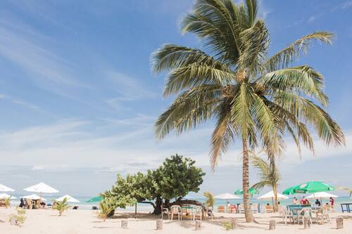 マカオ ビーチ ホステル プンタ カナ の宿泊予約 ホテルズドットコム マカオ ビーチ ホステル プンタ カナ の宿泊予約 ホテルズドットコム