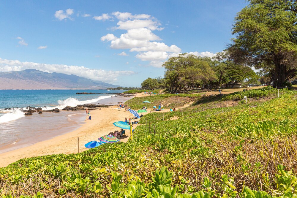 hale kamaole 117 first floor condo, easy access to best beach on