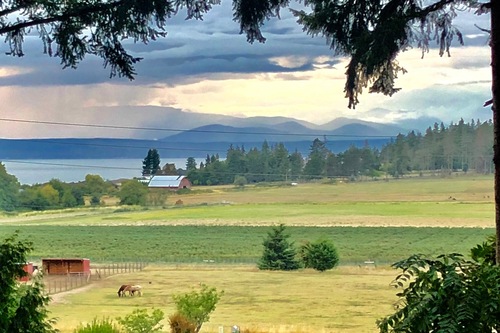 Top Hotels In Freeland Washington Cancel Free On Most Hotels Hotels Com Top Hotels In Freeland Washington Cancel Free On Most Hotels Hotels Com