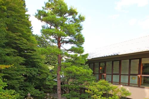 四季倶楽部 飛騨高山荘 高山 の宿泊予約 ホテルズドットコム 四季倶楽部 飛騨高山荘 高山 の宿泊予約 ホテルズドットコム
