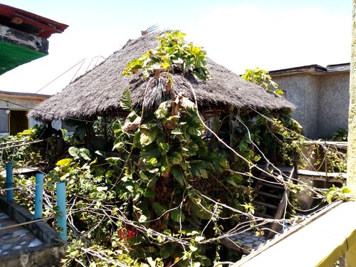 ザンジバル のベッド ブレックファスト 宿泊予約 最安値検索 格安予約 ホテルズドットコム