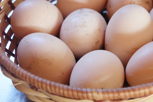 Book Bodrum Ecofarm Camp Hostel In Bodrum Hotels Com