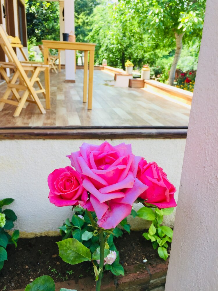 احجز إليزا بوتيك أوتل في آدالار قارن أسعار الفنادق في آدالار