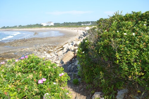 cheap hotels in biddeford maine