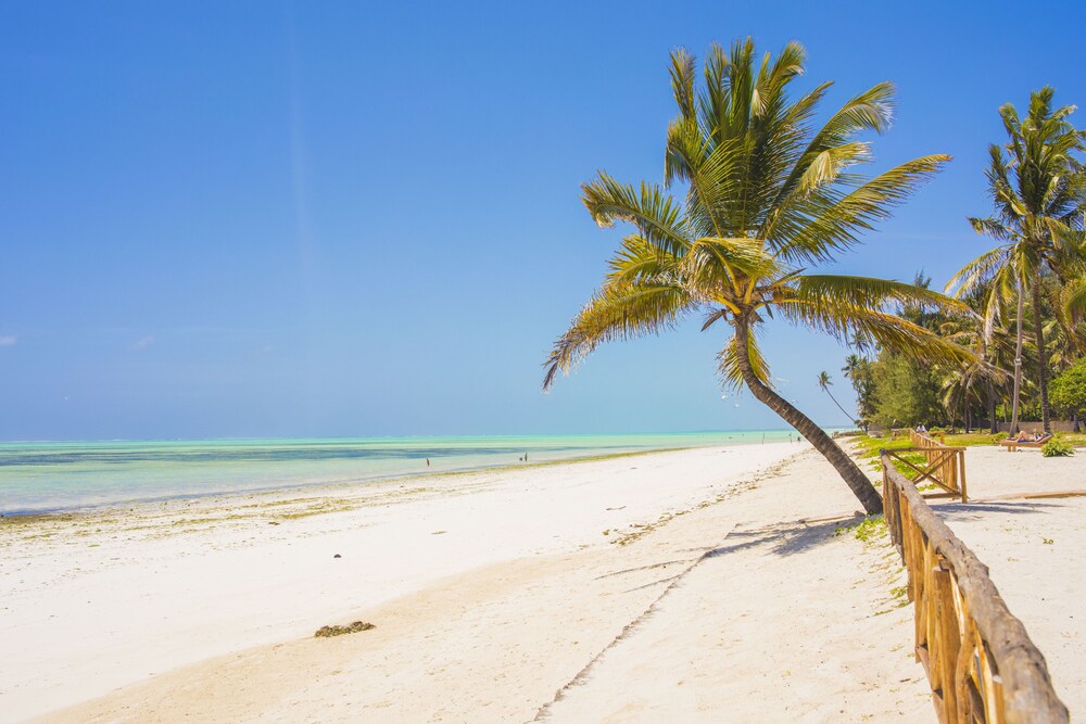 vr 俱乐部 - 帕贺棕榈海滩度假村