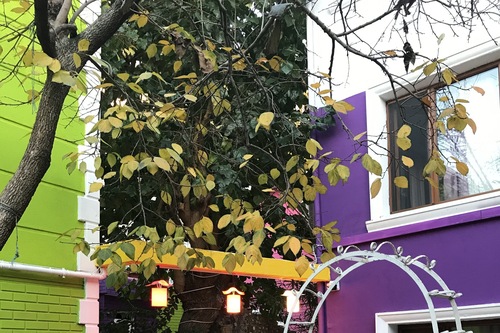 The Zanadu Istanbul Istanbul Hotels Com