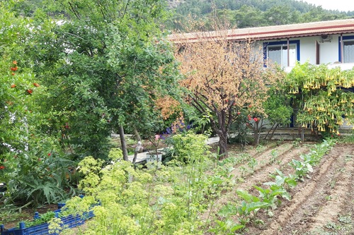 Book Ege Pansiyon In Bodrum Hotels Com