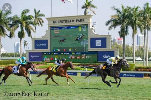 wonderful 2br with bbq next to gulfstream hallandale beach hotels com