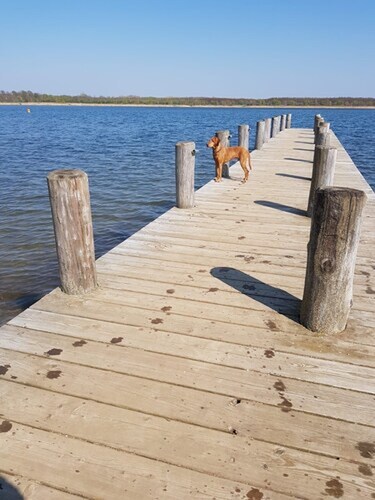 メルゼブルク Luftfahrt Und Technik Museumspark Merseburg 周辺のホテル 宿泊予約 格安ホテル予約 最安値検索 ホテルズドットコム