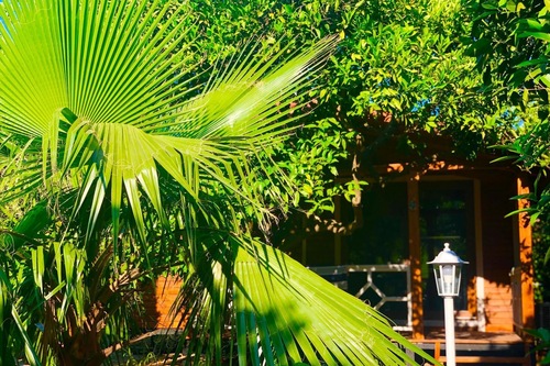 Book Eliz Inn Garden Apart Otel In Kemer Hotels Com