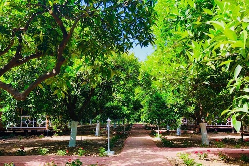 Book Eliz Inn Garden Apart Otel In Kemer Hotels Com