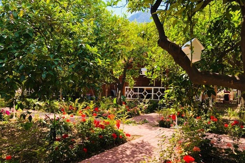 Book Eliz Inn Garden Apart Otel In Kemer Hotels Com