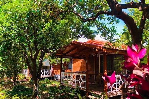 Book Eliz Inn Garden Apart Otel In Kemer Hotels Com