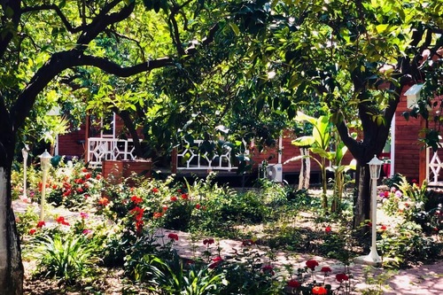 Book Eliz Inn Garden Apart Otel In Kemer Hotels Com