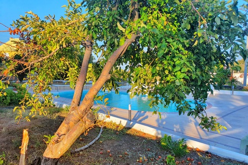 Dilek Agaci Butik Otel Karaburun Book At Hotels Com