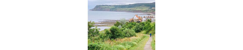Raven House Whitby Info Photos Reviews Book At Hotels Com