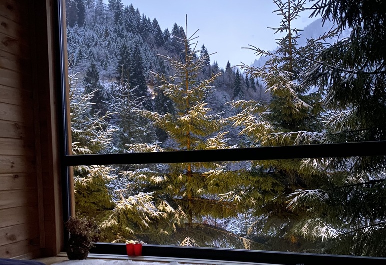 book ayder dag evi in camlihemsin hotels com
