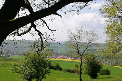 Landgasthaus Zur Brucke Hann Muenden Germany Hann Muenden Hotel Discounts Hotels Com