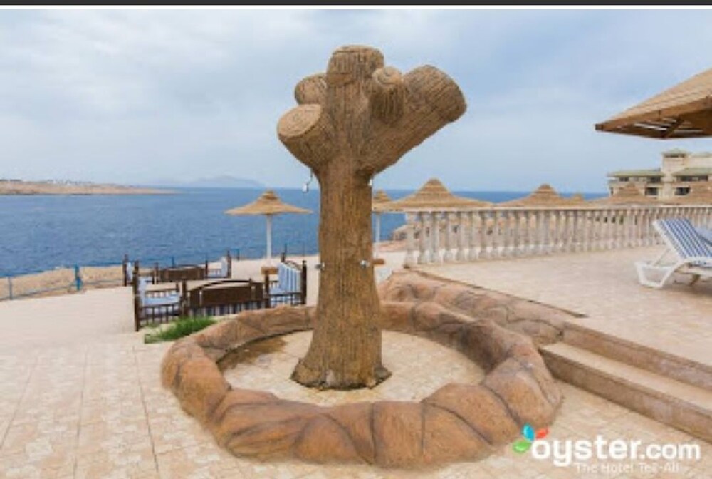 ハロミー グランド シャーム シャルム エル シェイク およびその周辺 の宿泊予約 ホテルズドットコム