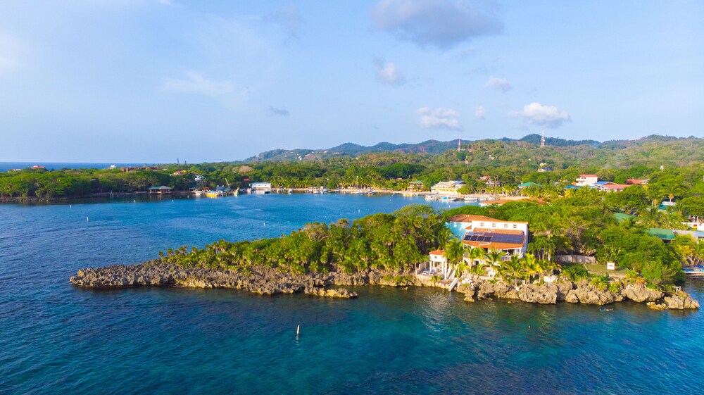 ìì´ë¤ì¤ ê°ë