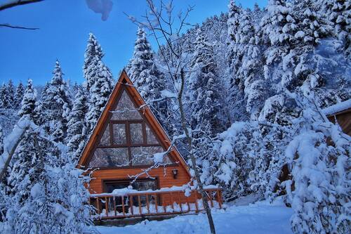 book kotit ayder bungalov restaurant in camlihemsin hotels com book kotit ayder bungalov restaurant in camlihemsin hotels com