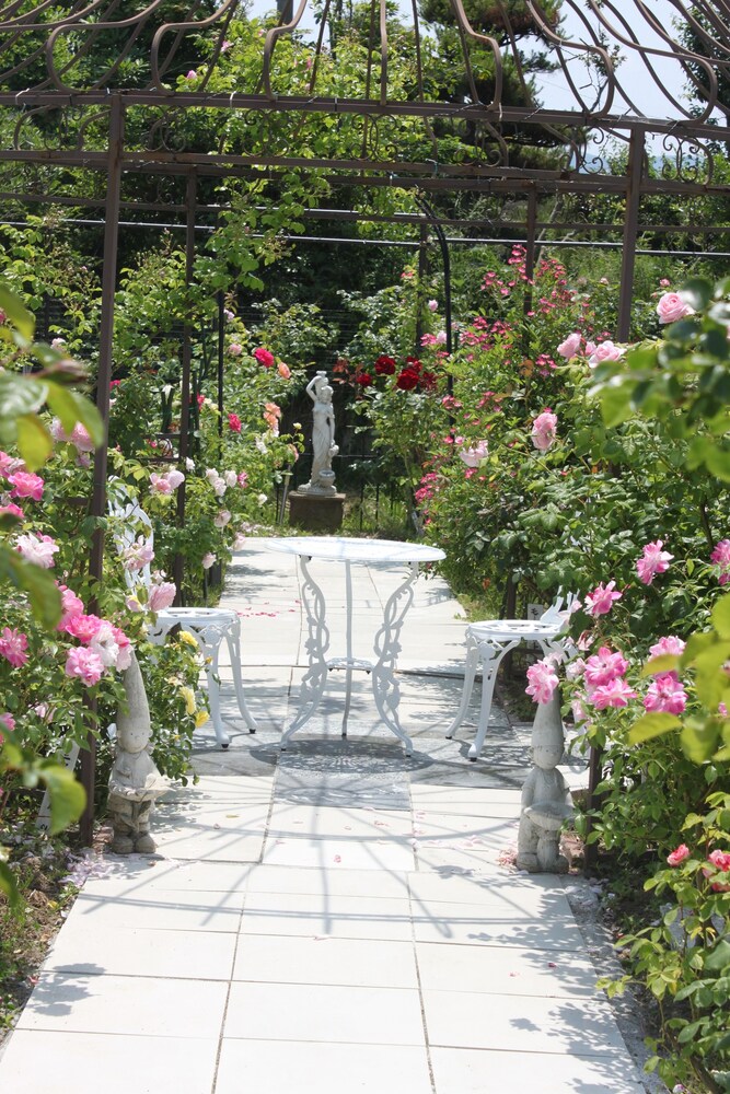 農家民宿 ローゼンキャット 佐渡 の宿泊予約 ホテルズドットコム