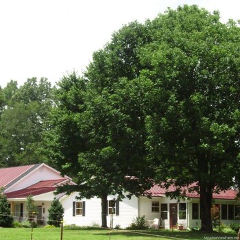 Top 10 Hotels In Hernando Mississippi B Bs In Hernando