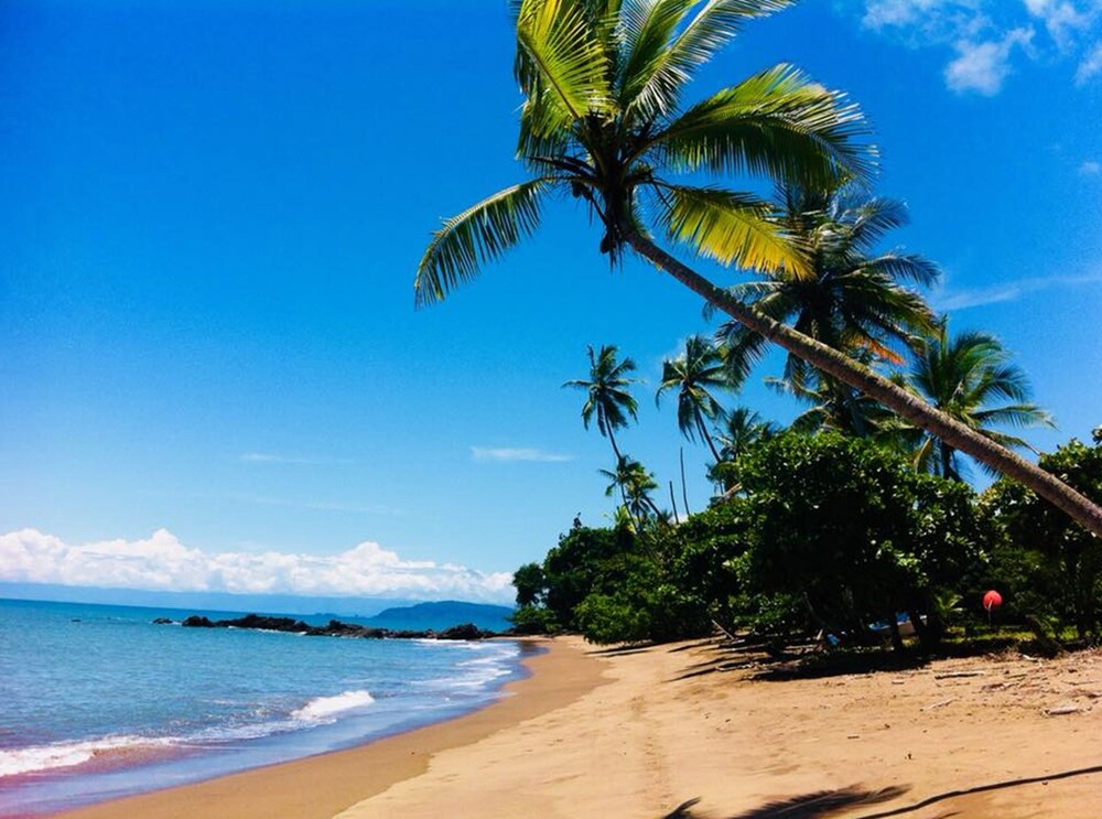 Book Aguila De Osa Rainforest Marine Adventure Lodge In Drake Bay Hotels Com