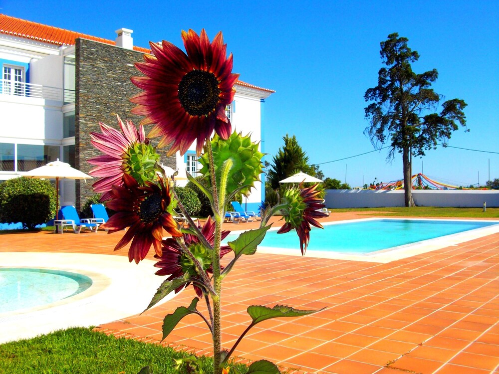 Book Santa Barbara Dos Mineiros Hotel Rural In Grandola Hotels Com