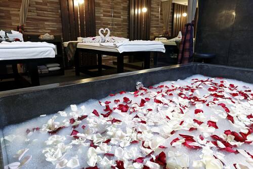 Book S31 Sukhumvit Hotel Sha Plus In Bangkok Hotels Com Book S31 Sukhumvit Hotel Sha Plus In Bangkok Hotels Com