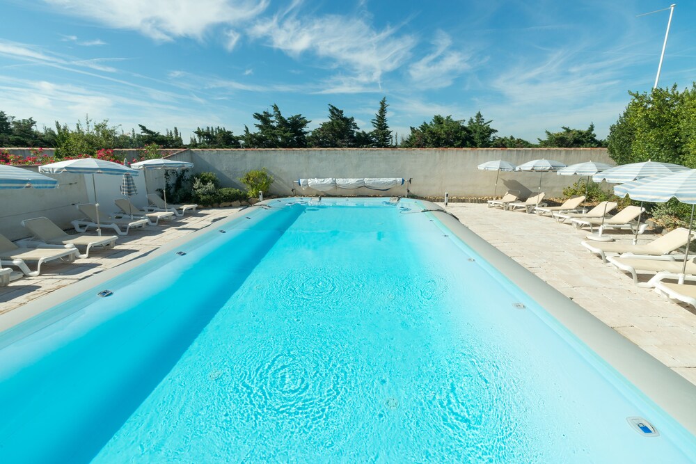 transhumance st martin de crau