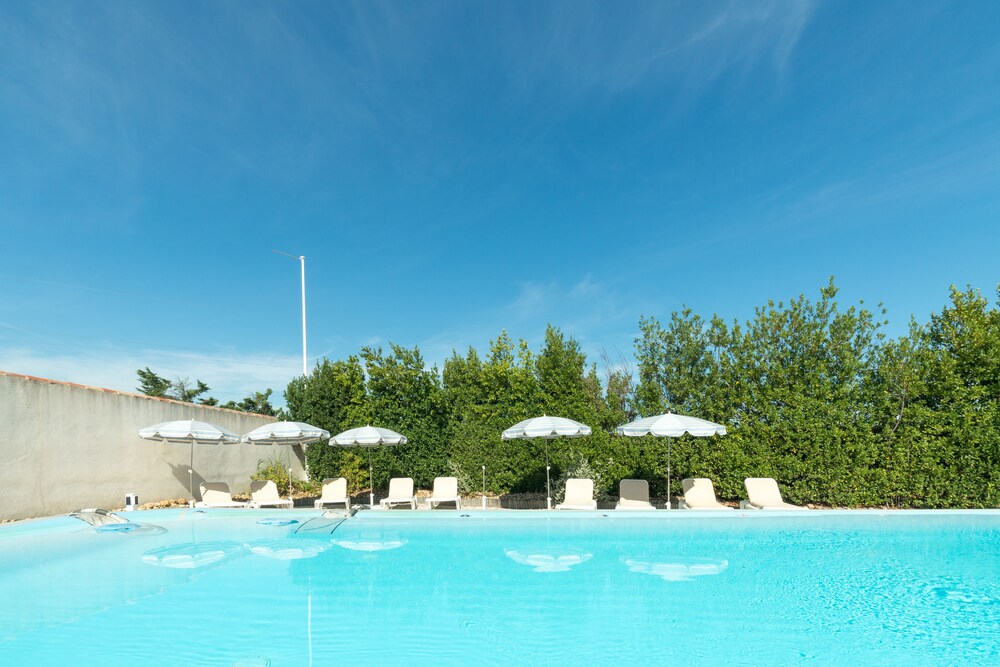 transhumance st martin de crau