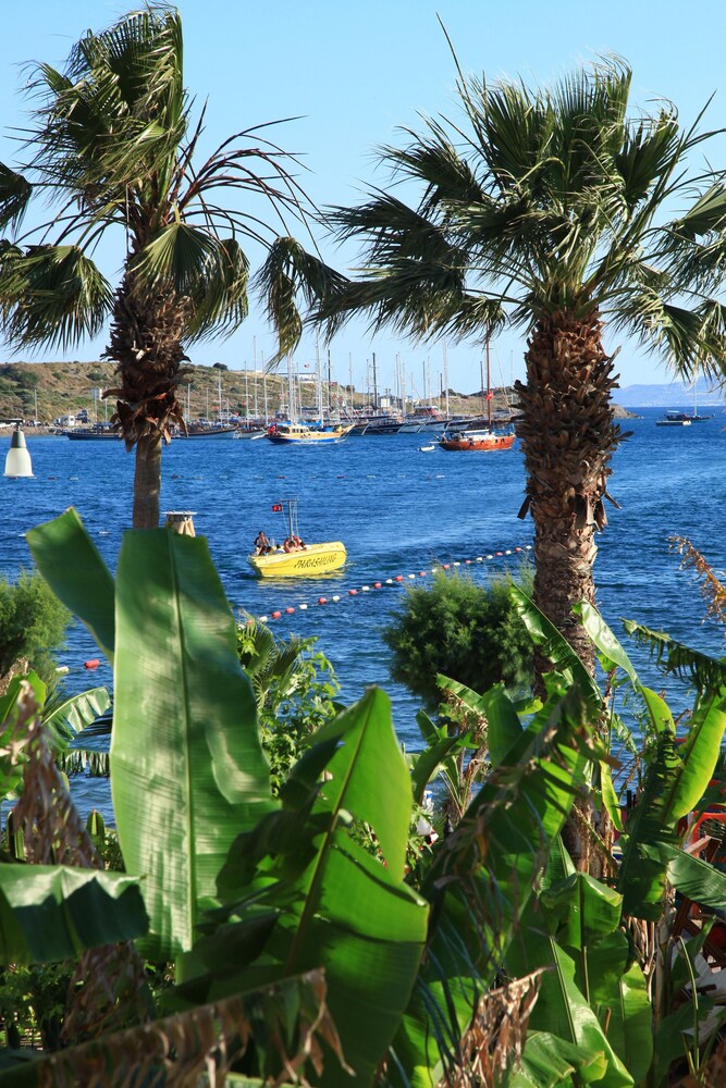 Parkim Ayaz Hotel Updated 2020 Prices Reviews And Photos Bodrum City Turkey Tripadvisor