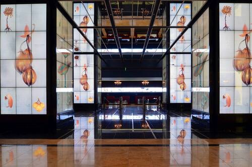 The Cosmopolitan Of Las Vegas Las Vegas Hotels Com The Cosmopolitan Of Las Vegas Las Vegas Hotels Com