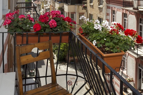 Book Hush Hostel Lounge In Istanbul Hotels Com