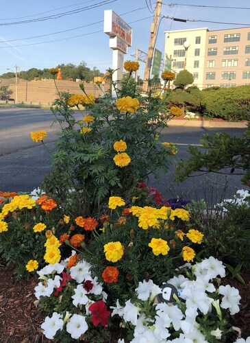 ダンヴァーズ レベッカ ナース ホームステッド 周辺のホテル 宿泊予約 格安ホテル予約 最安値検索 ホテルズドットコム